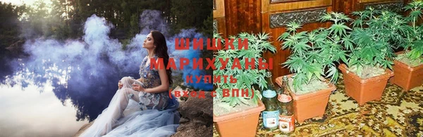 прущая мука Бородино